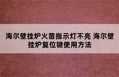 海尔壁挂炉火苗指示灯不亮 海尔壁挂炉复位键使用方法